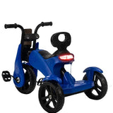 Panda N Torque Kids Tricycles for 18 Months to 5 Years  Old Toddler Bike (Blue)