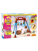 Toyzone Baby Play Gym - Multicolor