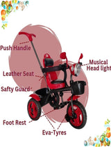 MUSICAL Tricycle with Parental Handle for Kids