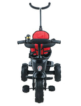 Tricycle with Safety Guardrail (TZ-531 Red)