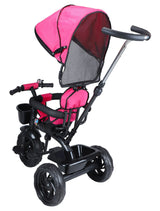 Tricycle With Safety Guardrail & Canopy (BJ-532 Pink)