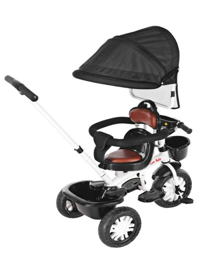 Musical Tricycle With Parental Handle & Canopy (BJ-573R-Black)