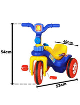 Scooter Cum Tricycle 2-in-1 (Multicolor)